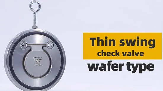 Lightweight Low-Pressure High-Performance Di160 Pn16 Dual Plate Check Valve